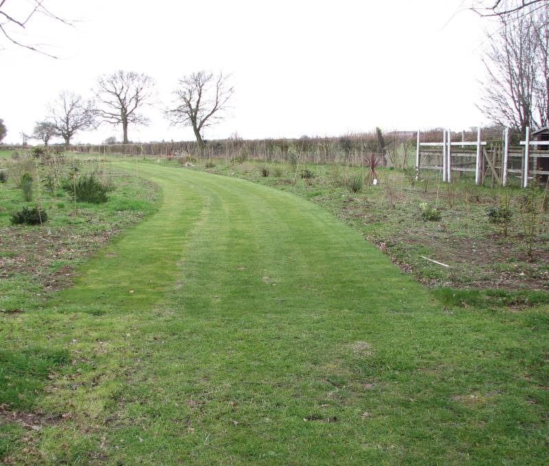 Early Autmn Sown Grass (on left)