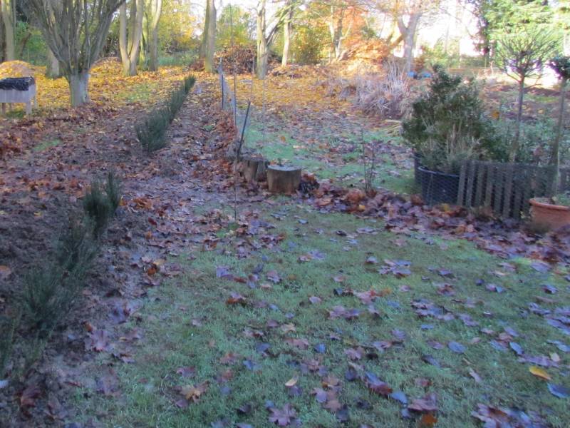 Hedge - Nov 2012